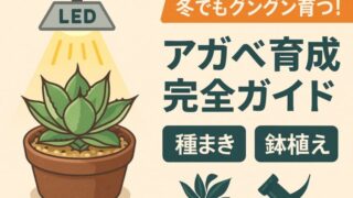LEDライトの下で元気に育つ鉢植えのアガベと「アガベ育成完全ガイド」のテキスト